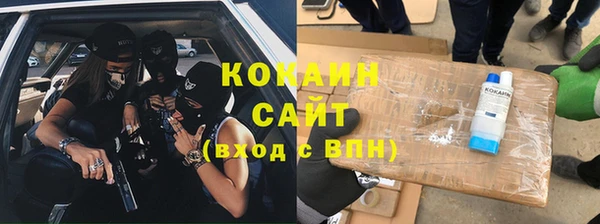 мдпв Дмитриев