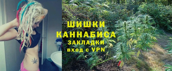 мдпв Дмитриев