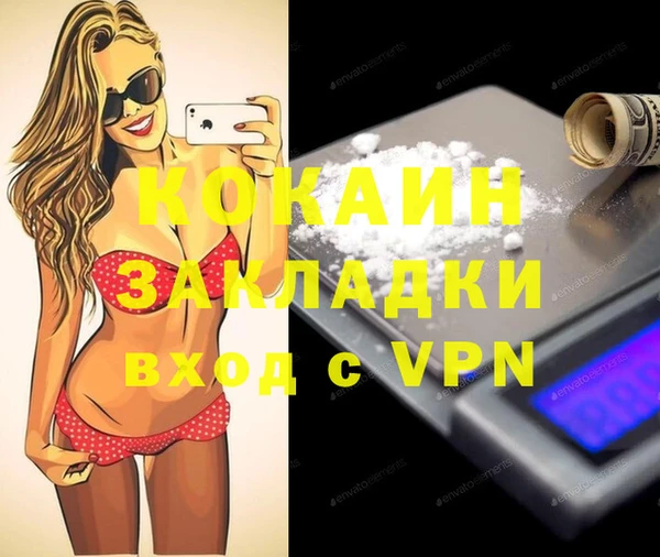 мдпв Дмитриев