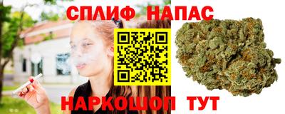 спиды Кизляр