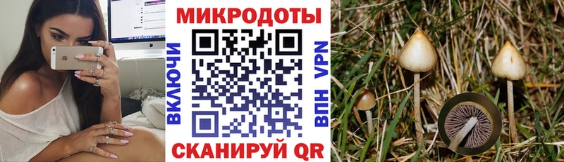 купить наркотики сайты дарк нет состав Псилоцибиновые грибы Magic Shrooms Заринск