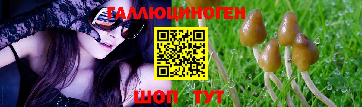 Заринск  Псилоцибиновые грибы мухоморы  Вход с VPN 